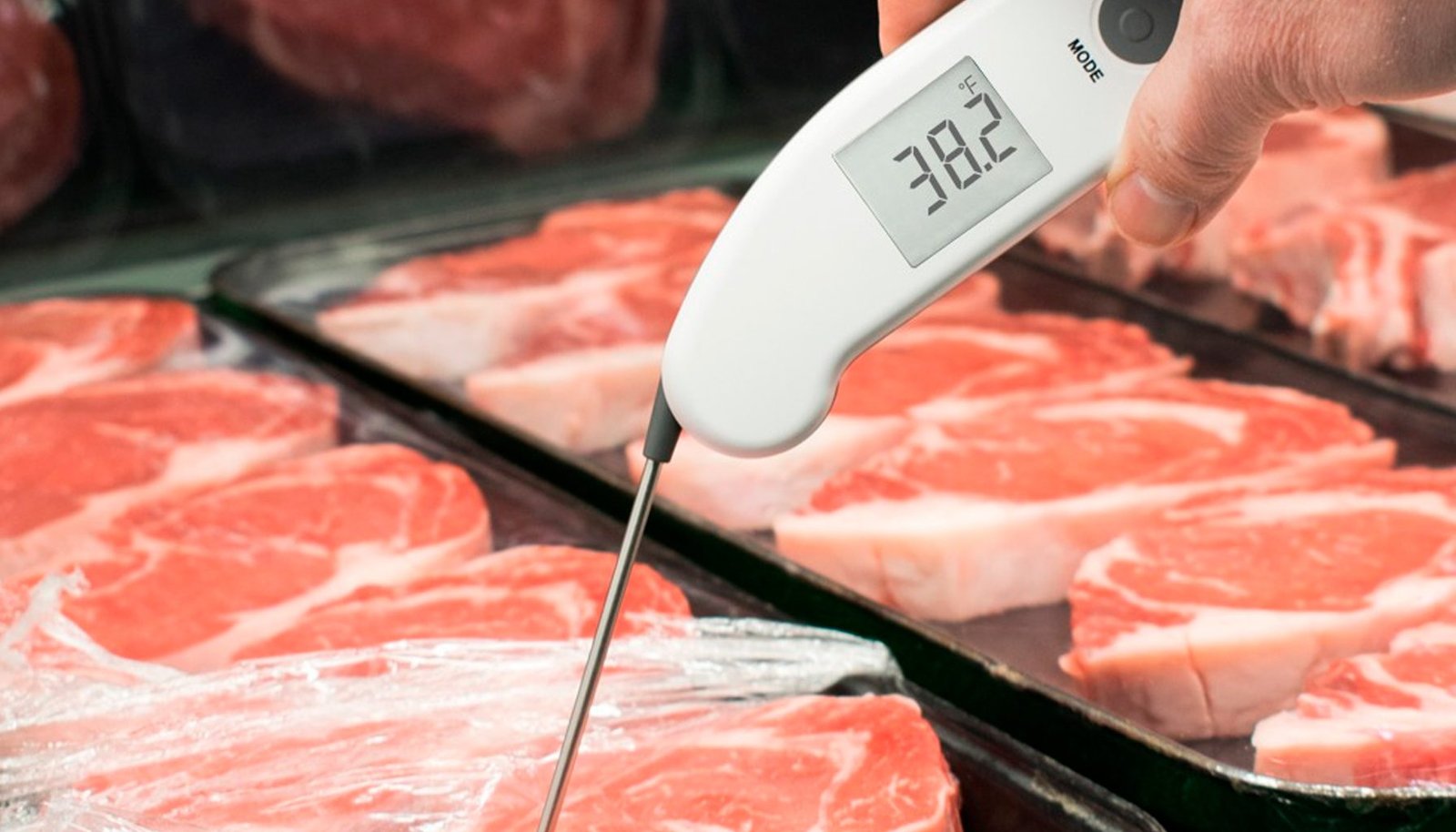 10 dicas de manuseio de alimentos VeriFood