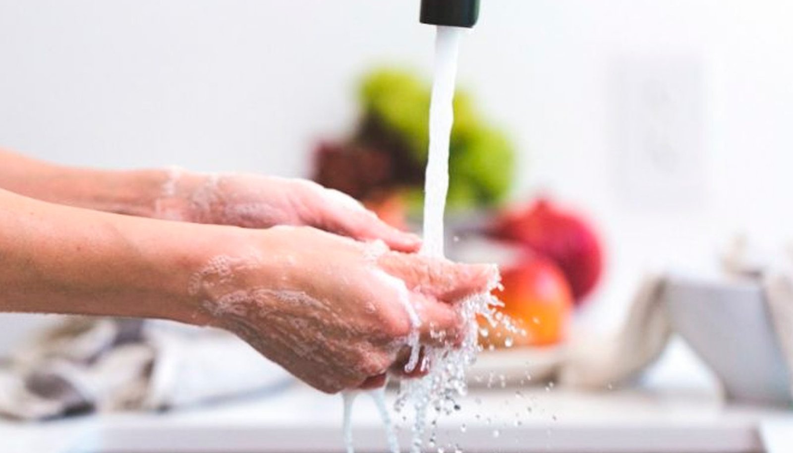 Treinamento para Funcionários da Cozinha VeriFood