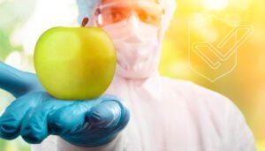 Guia completo sobre Segurança Alimentar de Como garantir alimentos seguros e livres de contaminação